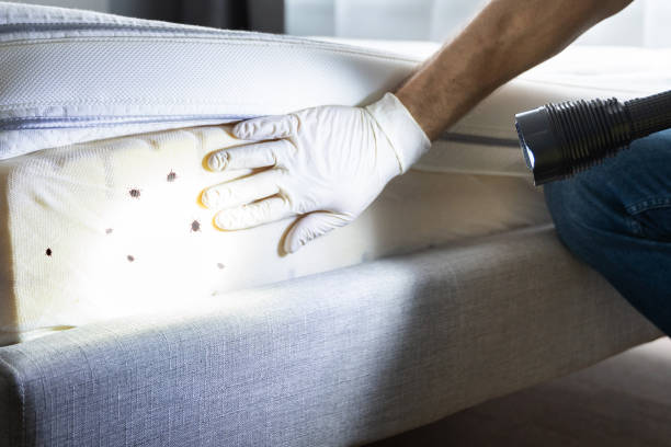 Best Bed Bug Extermination  in Hurlburt Field, FL