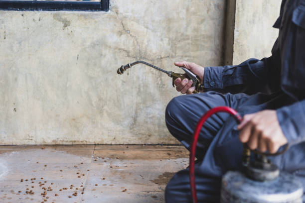 Best Affordable Pest Control Services  in Hurlburt Field, FL